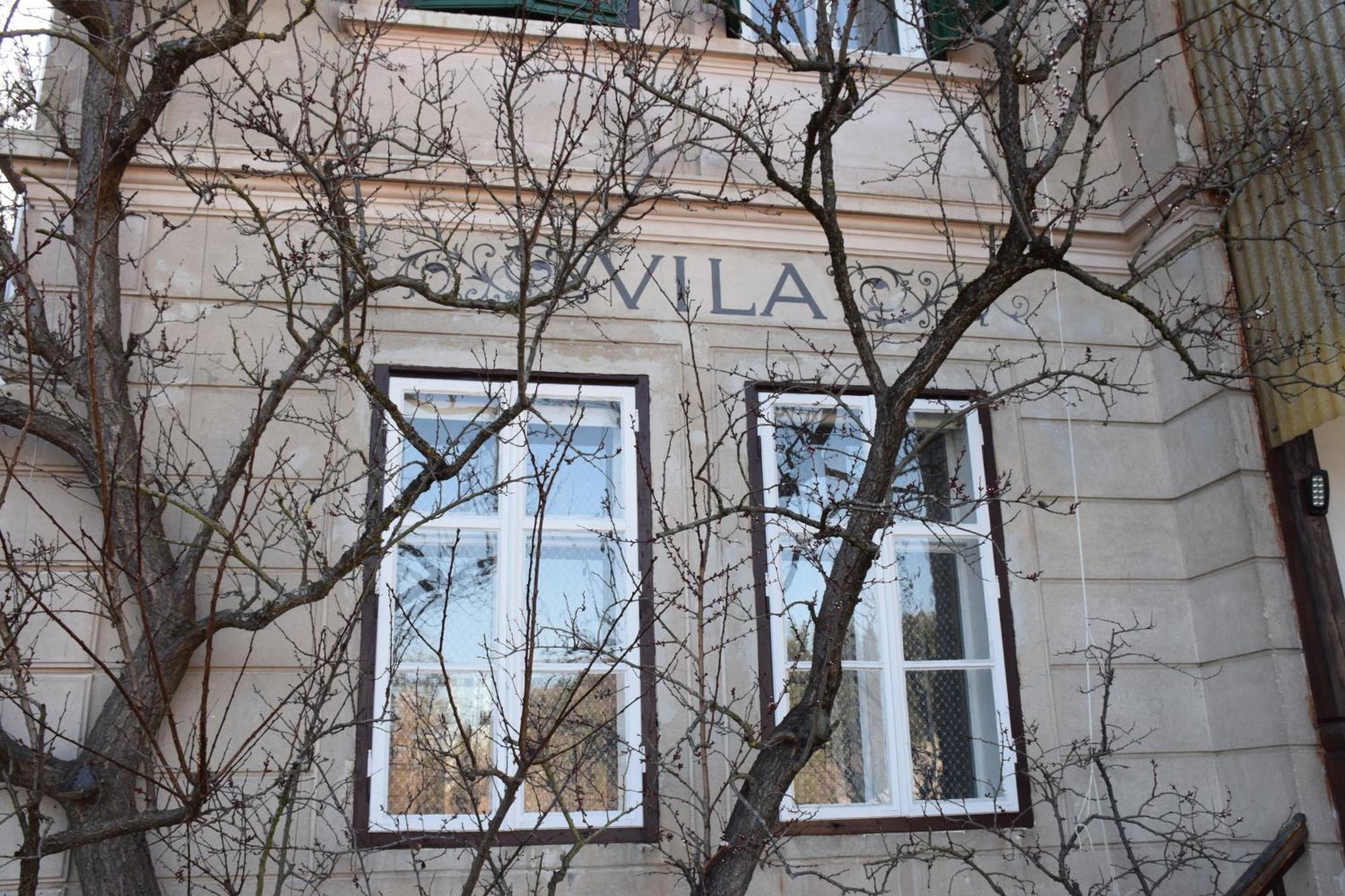 Vila Cerne Блед Екстериор снимка